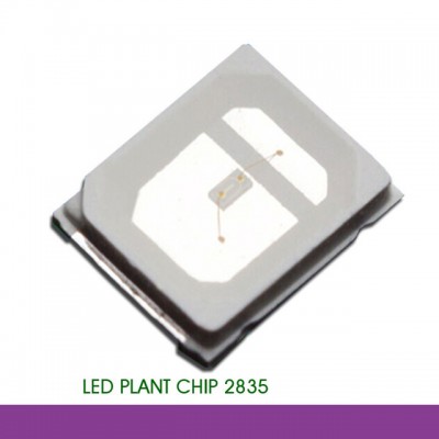 4000pcs/Roll 0.2W SMD 2835 UV UVA Purple 390nm 395nm 400nm Gold Wire Copper Bracket LED Diodes 3.0-3.4V Epistar Plant Chip